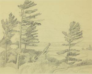 Untitled (Ontario landscape with trees)