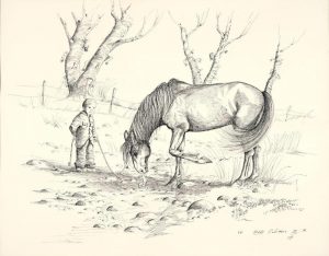 Watering the Horse