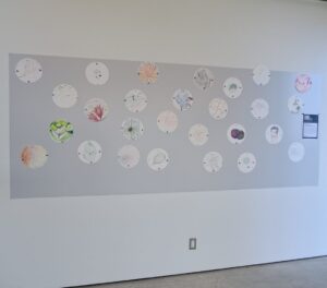 a bright wall with drawings on circular paper.